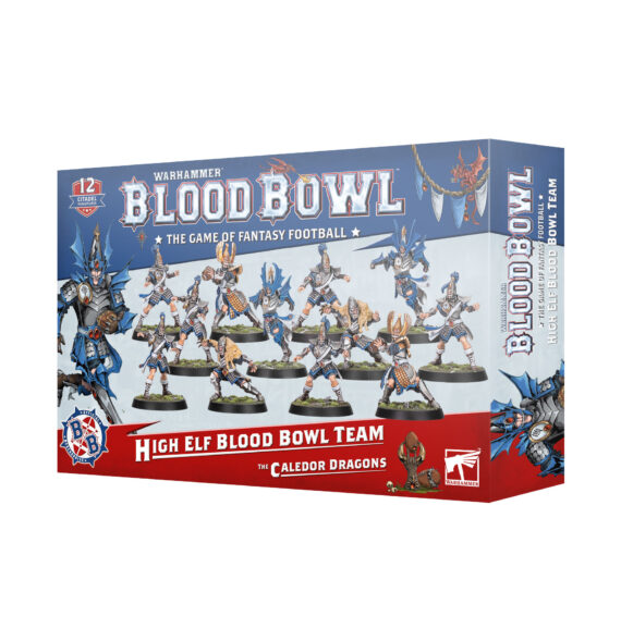HIGH ELF TEAM